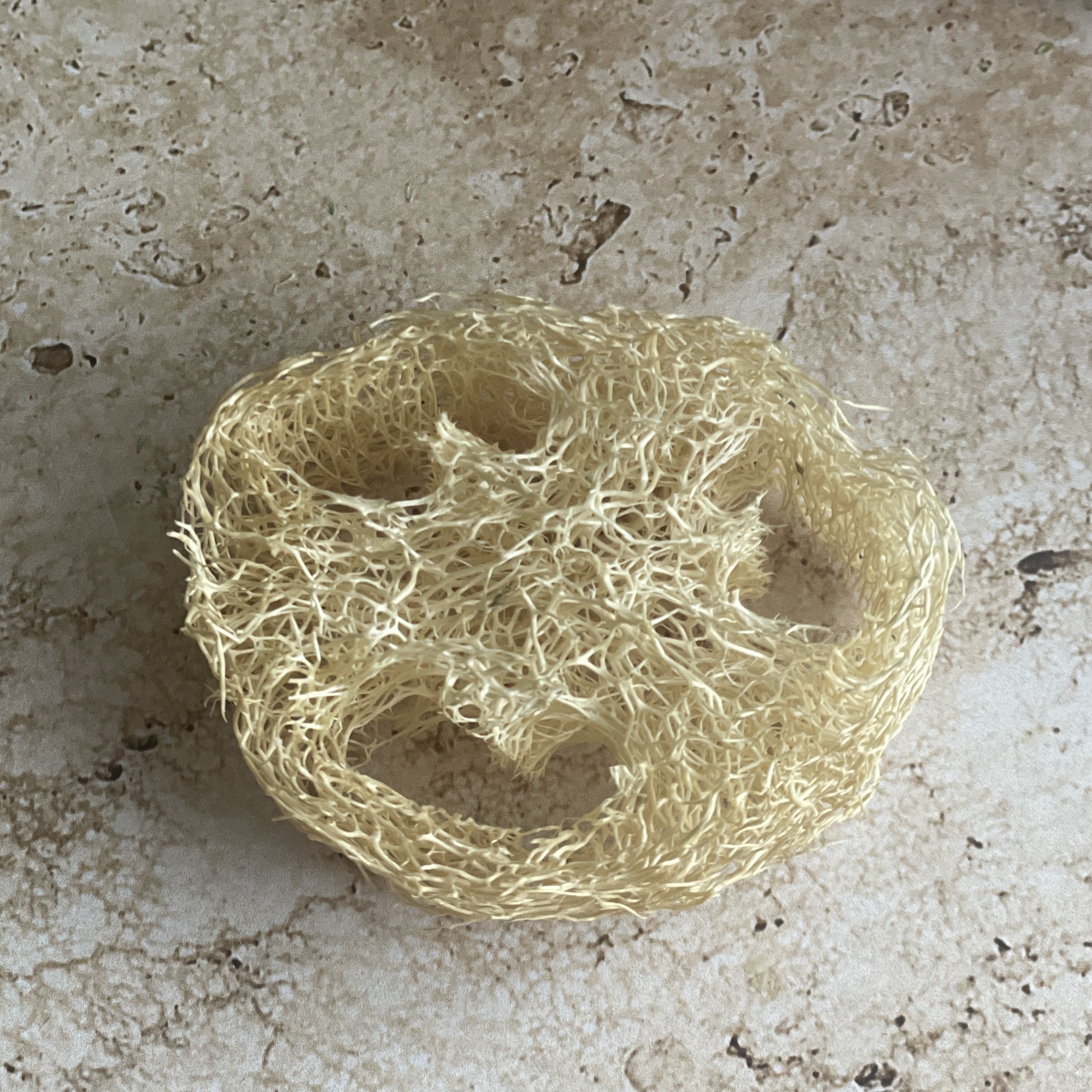 Tranche de luffa sur une pierre de travertin